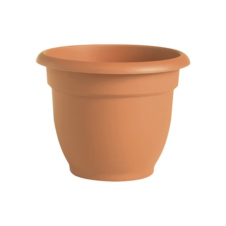 Bloem Bloem Ariana 5.25 in. H X 6.5 in. W Resin Traditional Planter Terracotta 20-56106